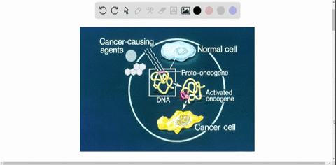 outline-the-steps-that-lead-to-a-cell-becoming-cancerous