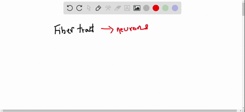 some-questions-have-more-than-one-correct-answer-select-the-best-answer-or-answers-from-the-choice-7