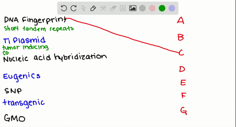 match-the-terms-with-the-most-suitable-description-________dna-fingerprint-________ti-plasmid-____-2