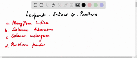 zoological-name-of-leopard-is-a-mangifera-indica-b-solanum-tuberosum-c-solanum-melongena-d-panthera-