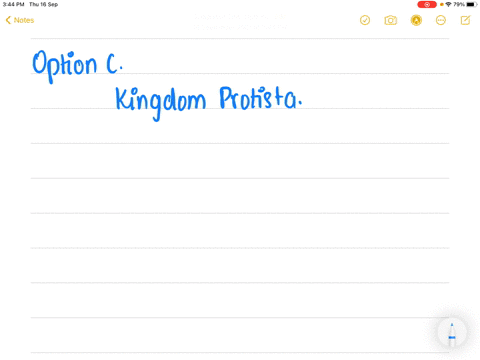 kingdom-protista-contains-a-blue-green-algae-b-fungi-c-unicellular-eukaryotes-d-all-of-these