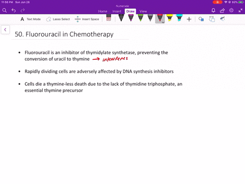 recall-suggest-a-mode-of-action-for-fluorouracil-in-cancer-chemotherapy