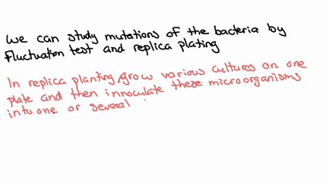 in-a-genetics-lab-kim-and-maria-infected-a-sample-from-an-e-coli-culture-with-a-particular-virulent-