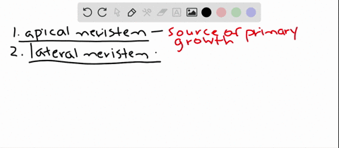 match-the-plant-parts-with-the-suitable-description-a-masses-of-xylem-b-source-of-primary-growth-c-d