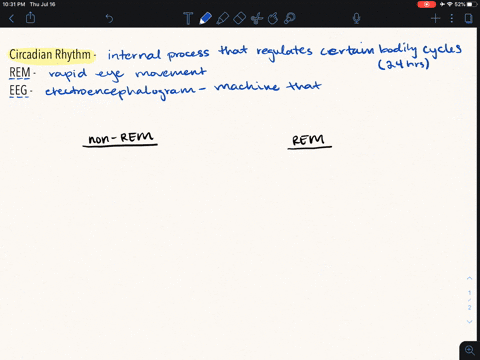 which-of-the-following-characterizes-non-rem-sleep-a-dreaming-b-circadian-rhythms-c-eeg-slow-waves-d