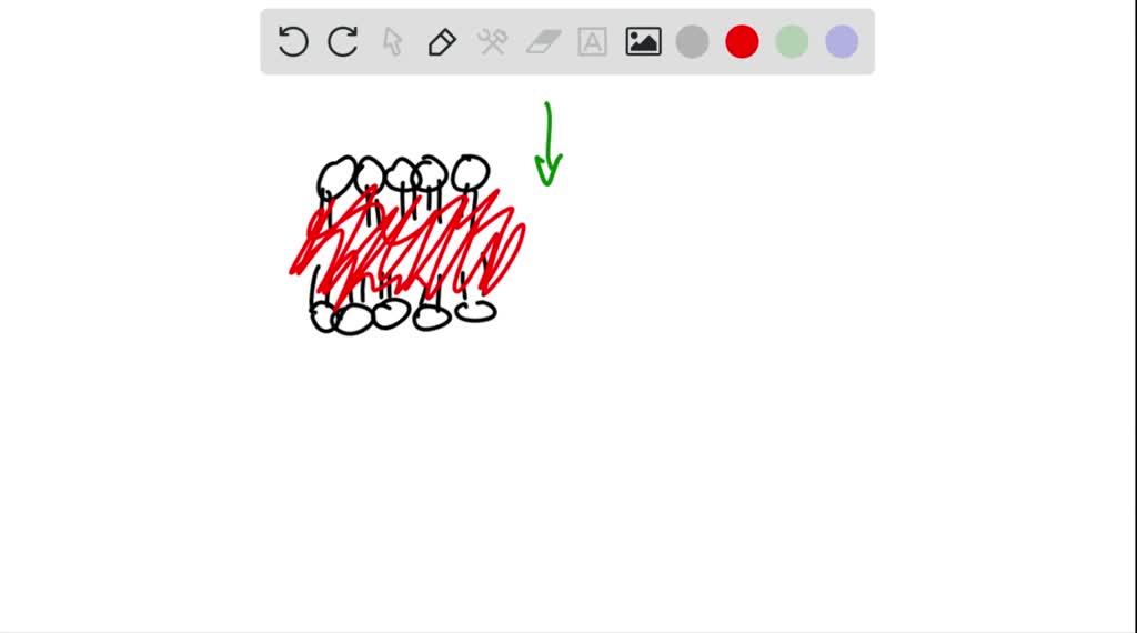 solved-do-not-easily-diffuse-across-a-lipid-bilayer