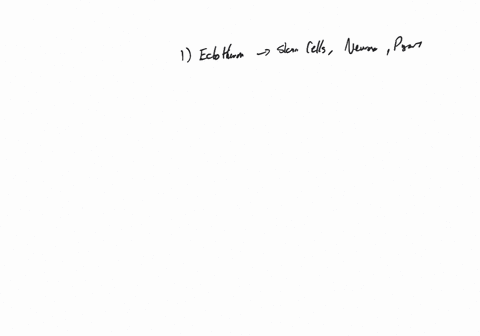what-are-the-three-primary-germ-layers-and-what-body-structures-come-from-each-germ-layer-page-399