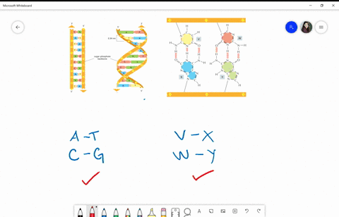 a-a-macromolecule-isolated-from-an-extraterrestrial-source-superficially-resembles-dna-but-closer--3