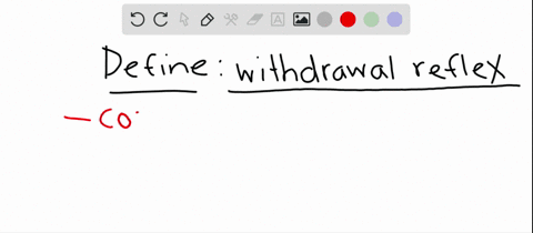 in-the-withdrawal-reflex-a-action-potentials-in-a-pain-sensory-neuron-enter-the-spinal-cord-through-