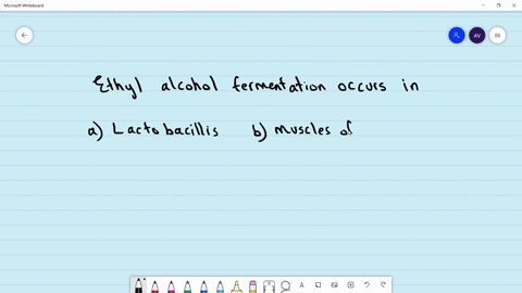 ethyl-alcohol-fermentation-occurs-in-a-lactobacillus-b-muscles-of-humans-c-rhizopus-d-all-of-these