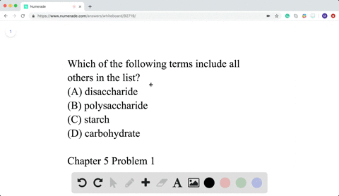 which-of-the-following-categories-includes-all-others-in-the-list-a-disaccharide-b-polysaccharide-c-