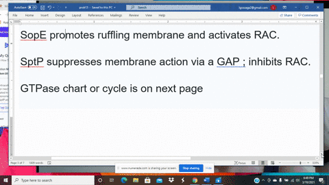 the-intracellular-bacterial-pathogen-salmonella-typhimurium-which-causes-gastroenteritis-injects-eff