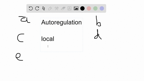 which-of-the-following-is-an-example-of-autoregulation-of-kidney-function-a-the-raas-regulates-na--2