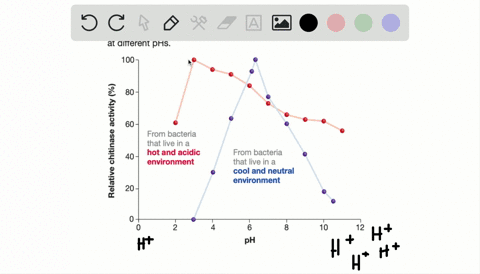 how-does-mathrmph-affect-enzyme-catalyzed-reactions-a-protons-serve-as-substrates-for-most-reactions