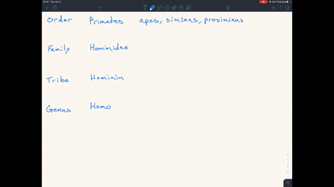 distinguish-between-the-terms-primate-hominid-hominin-and-homo