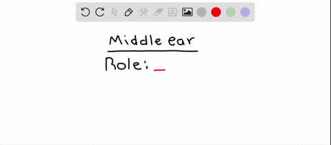 the-middle-ear-functions-in-___-a-detecting-shifts-in-body-position-b-amplifying-and-transmitting-so