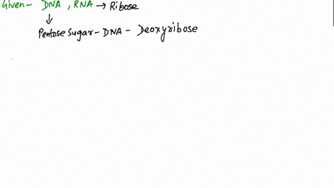 what-are-the-sugars-in-dna-and-rna-and-how-do-they-differ