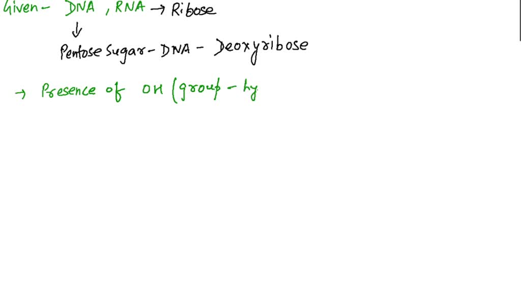 SOLVED:What are the sugars in DNA and RNA, and how do they differ?