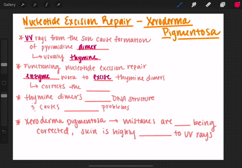 explain-why-patients-with-xeroderma-pigmentosa-are-more-prone-to-cancer-than-the-rest-of-the-populat