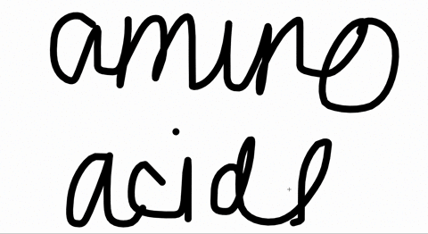 how-many-unique-amino-acid-sequences-are-possible-for-a-tripeptide-containing-only-the-amino-acids-g