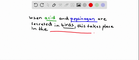 in-birds-the-secretion-of-acid-and-pepsinogen-occurs-in-the-a-crop-b-gizzard-c-proventriculus-d-cloa