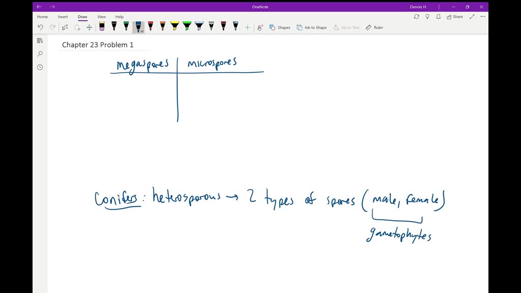 solved-the-sentences-below-are-incorrect-make-each-sentence-correct-by