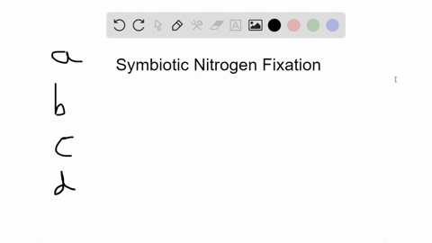 in-symbiotic-nitrogen-fixation-by-rhizobia-and-legumes-a-the-amount-of-nitrogen-fixed-is-much-greate