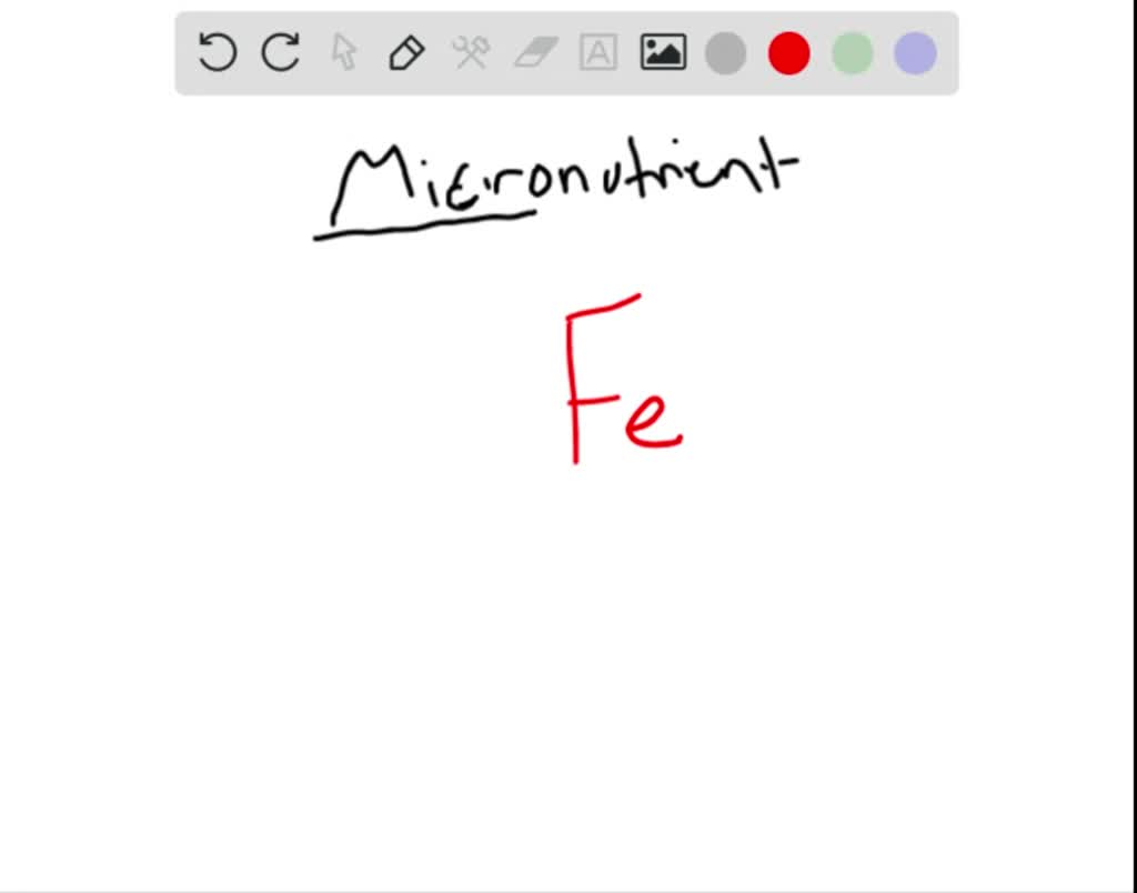 SOLVEDThe Dietary Reference Intakes were devised for which of the