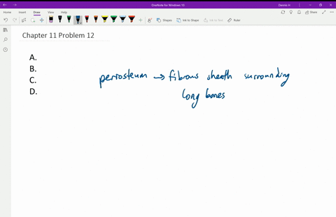 which-of-the-following-statements-regarding-the-periosteum-is-incorrect-a-the-periosteum-serves-as-a