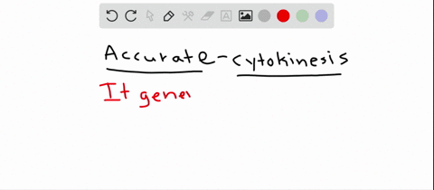 which-statement-about-cytokinesis-is-true-a-in-animals-a-cell-plate-forms-b-in-plants-it-is-initiate