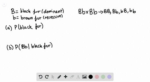 suppose-a-single-gene-controls-the-color-of-hamsters-black-b-is-dominant-and-brown-b-is-recessive-he