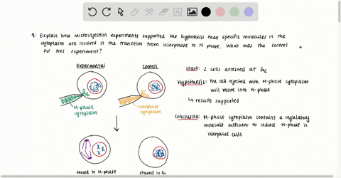 explain-how-microinjection-experiments-supported-the-hypothesis-that-specific-molecules-in-the-cytop