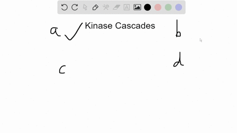 kinase-cascades-a-can-amplify-the-original-signal-presented-to-a-cell-b-are-often-organized-by-scaff