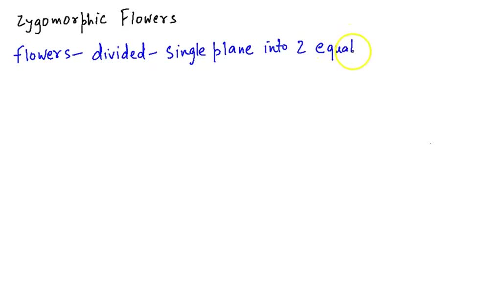 SOLVEDZygomorphic flower is found in (a) Aloe (b) Potato (c) Sesbania