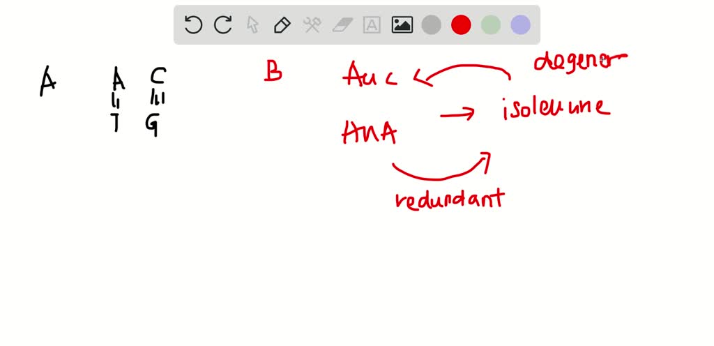 SOLVED:The AUC and AUA codons in mRNA both specif…