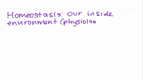 the-balanced-physiological-state-we-are-driven-to-attain-by-satisfying-our-needs-is-called-a-equilib