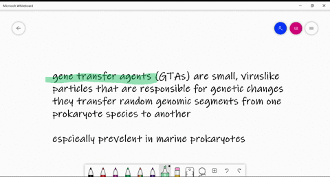 particles-that-transfer-genetic-material-from-one-species-to-another-especially-in-marine-prokaryote