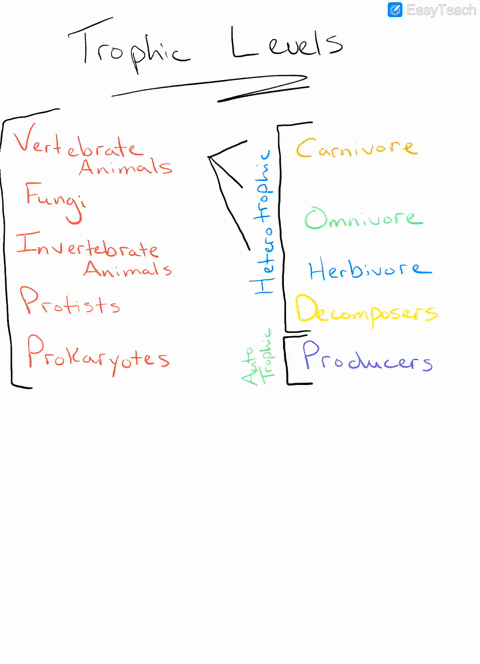 which-group-of-organisms-utilizes-the-largest-variety-of-energy-sources-a-prokaryotes-b-fungi-c-prot