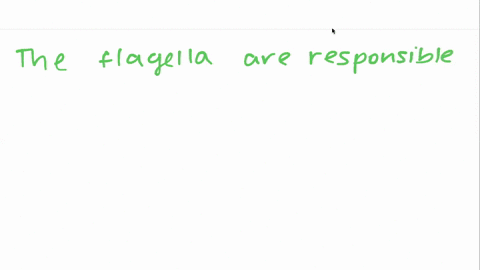 the-organelles-responsible-for-moving-fluid-past-the-surface-of-a-cell-are-a-microvilli-b-flagella-c