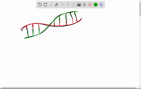 the-molecule-dna-is-important-to-biological-systems-because-a-quad-it-can-be-replicated-b-it-encodes