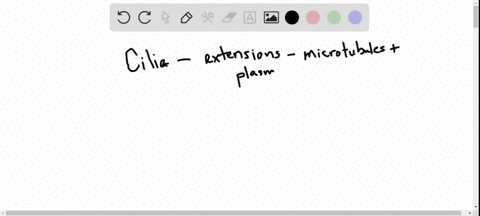 cells-lining-the-trachea-have-whiplike-motile-extensions-on-their-free-surfaces-what-are-these-exten