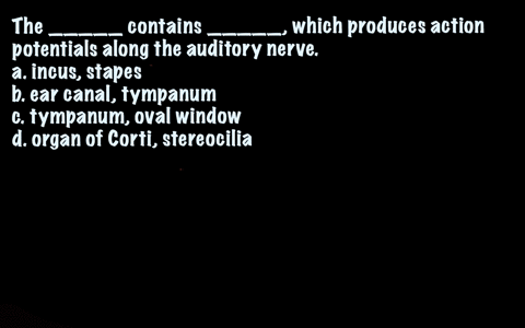 the-_____-contains-_____-which-produces-action-potentials-along-the-auditory-nerve-a-incus-stapes-b-