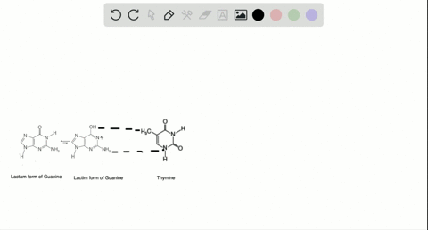 a-the-most-stable-tautomeric-form-of-guanine-is-the-lactam-form-or-cyclic-amide-see-section-1781-thi