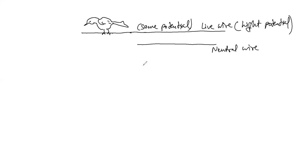 Why can birds safely rest on highvoltage power lines without getting