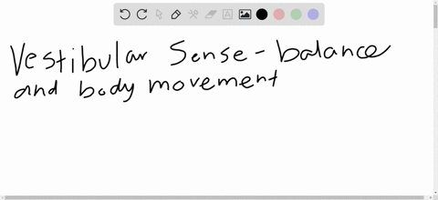 which-of-the-following-might-result-from-a-disruption-of-your-vestibular-sense-a-inability-to-detect