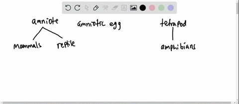 SOLVED:The amniotes include all but the a. birds. c. reptiles. b