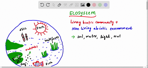 the-level-of-organization-that-includes-all-the-populations-in-a-given-area-along-with-the-physical-