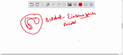 study-the-given-figure-and-identify-the-cells-labelled-as-a-b-c-and-d-a-a-eosinophil-b-erythrocyte-c