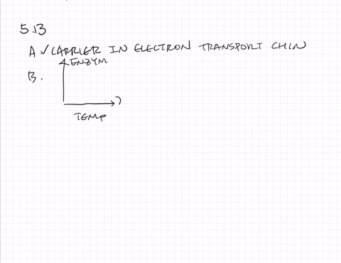 which-of-the-following-does-not-affect-the-function-of-enzymes-a-ubiquinone-c-temperature-b-substrat