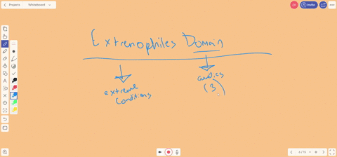 all-of-the-extremophiles-belong-to-the-domain-a-eukarya-c-archaea-b-prokarya-d-bacteria